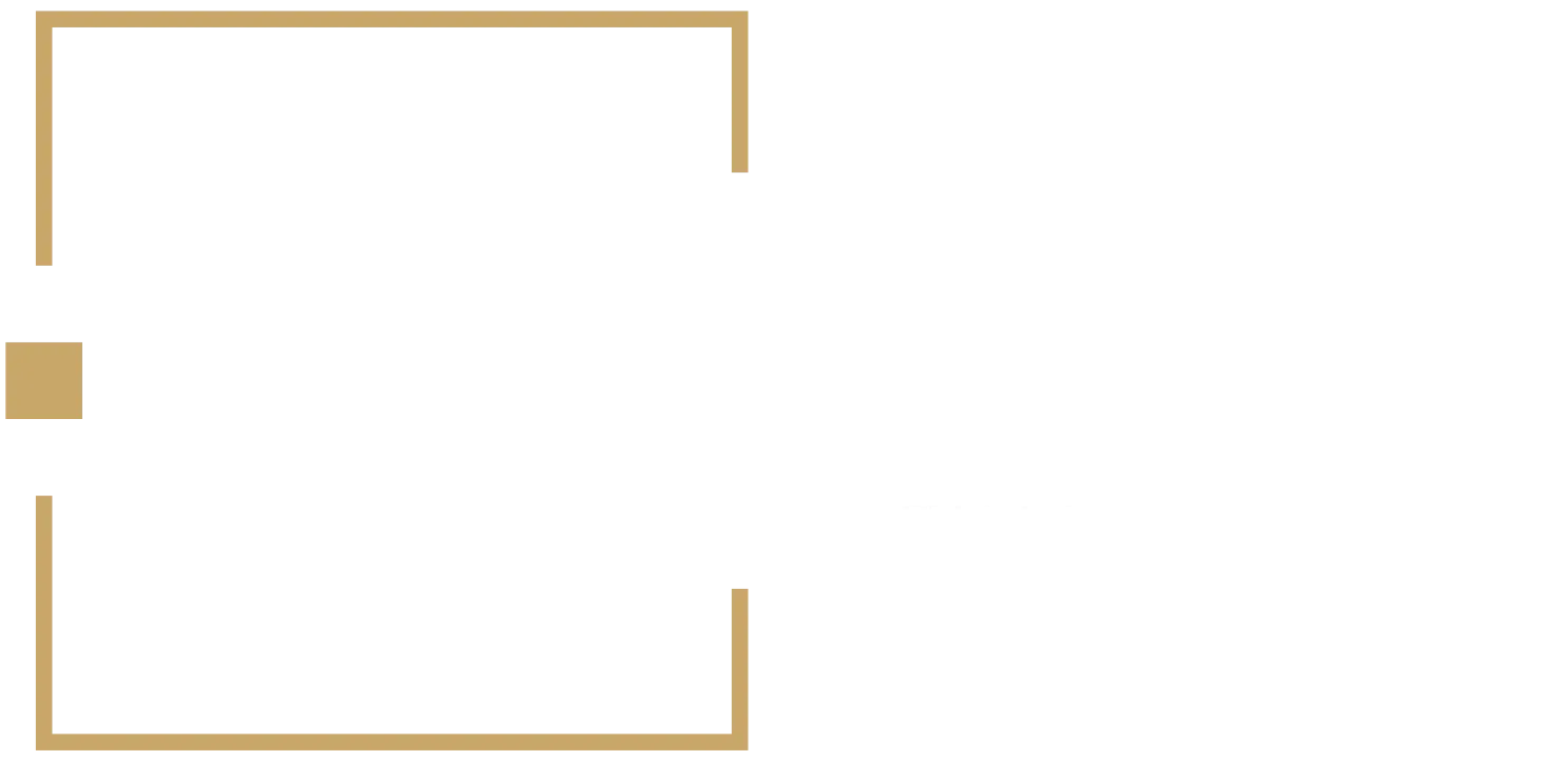 logo solaris finance